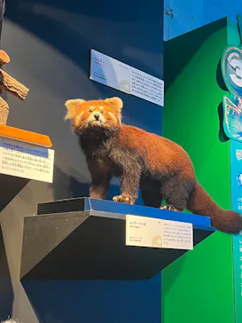 特別展「いきもの超ワールド展　国立科学博物館×ダーウィンが来た！」（国立科学博物館）に投稿された画像（2026/9/11）