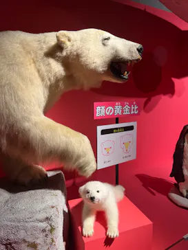 特別展「いきもの超ワールド展　国立科学博物館×ダーウィンが来た！」（国立科学博物館）に投稿された画像（2026/9/11）