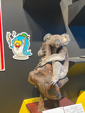 特別展「いきもの超ワールド展　国立科学博物館×ダーウィンが来た！」（国立科学博物館）に投稿された画像（2026/9/11）