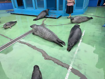ゼロ距離水族館 伊勢シーパラダイスに投稿された画像（2026/9/11）