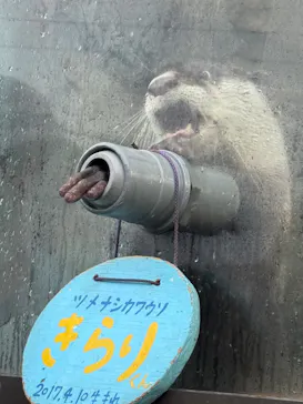 ゼロ距離水族館 伊勢シーパラダイスに投稿された画像（2026/9/11）
