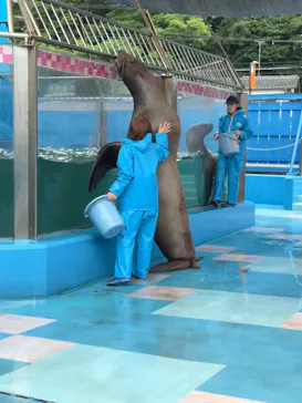 ゼロ距離水族館 伊勢シーパラダイスに投稿された画像（2026/9/11）