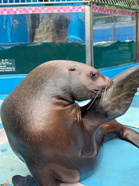 ゼロ距離水族館 伊勢シーパラダイスに投稿された画像（2026/9/11）