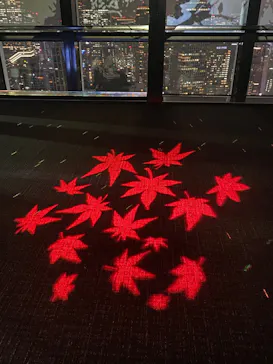 東京タワーに投稿された画像（2026/9/11）