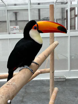 掛川花鳥園に投稿された画像（2026/9/11）