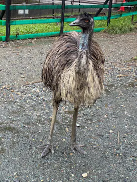 掛川花鳥園に投稿された画像（2026/9/11）