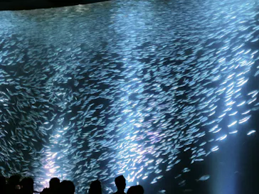 名古屋港水族館に投稿された画像（2026/9/12）