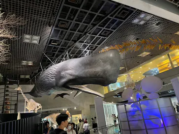 国立科学博物館に投稿された画像（2026/9/12）