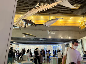 国立科学博物館に投稿された画像（2026/9/12）
