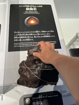大南極展に投稿された画像（2026/9/12）