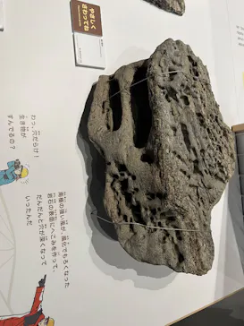大南極展に投稿された画像（2026/9/12）