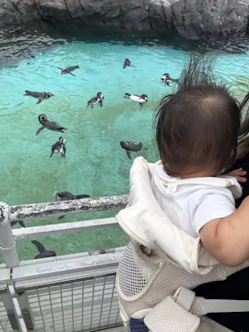 葛西臨海水族園に投稿された画像（2026/9/12）