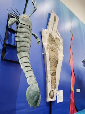 特別展　大絶滅展に投稿された画像（2026/9/12）