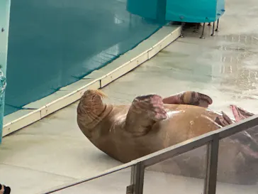 横浜・八景島シーパラダイスに投稿された画像（2026/9/12）