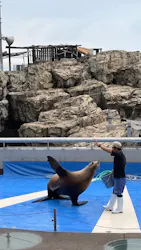 大分マリーンパレス水族館 「うみたまご」に投稿された画像（2026/9/12）