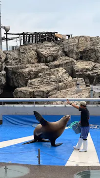 大分マリーンパレス水族館 「うみたまご」に投稿された画像（2026/9/12）