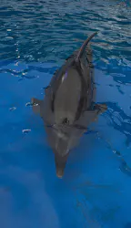 大分マリーンパレス水族館 「うみたまご」に投稿された画像（2026/9/12）