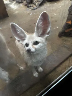 伊豆シャボテン動物公園に投稿された画像（2026/9/12）