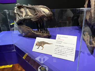 特別展　大絶滅展に投稿された画像（2026/9/12）