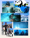 マリンズプロ宮古に投稿された画像（2026/9/12）