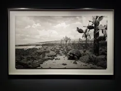 杉本博司　絶滅写真(東京国立近代美術館)に投稿された画像（2026/9/12）