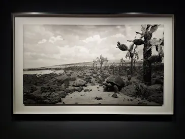 杉本博司　絶滅写真(東京国立近代美術館)に投稿された画像（2026/9/12）
