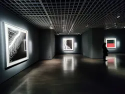 杉本博司　絶滅写真(東京国立近代美術館)に投稿された画像（2026/9/12）