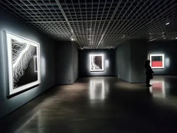 杉本博司　絶滅写真(東京国立近代美術館)に投稿された画像（2026/9/12）