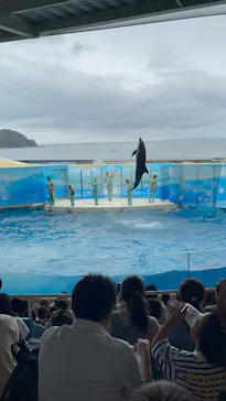 新江ノ島水族館に投稿された画像（2026/9/12）