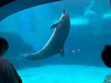 名古屋港水族館に投稿された画像（2026/9/12）