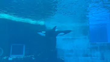 名古屋港水族館に投稿された画像（2026/9/12）