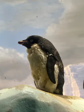 名古屋港水族館に投稿された画像（2026/9/12）
