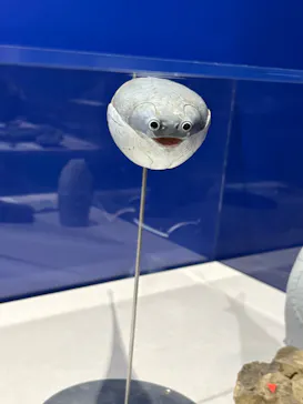 特別展　大絶滅展に投稿された画像（2026/9/12）
