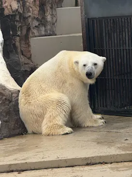 恩賜上野動物園に投稿された画像（2026/9/12）