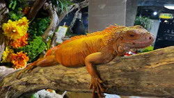 NARA KINGYO MUSEUMに投稿された画像（2026/9/12）