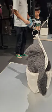 大南極展に投稿された画像（2026/9/12）