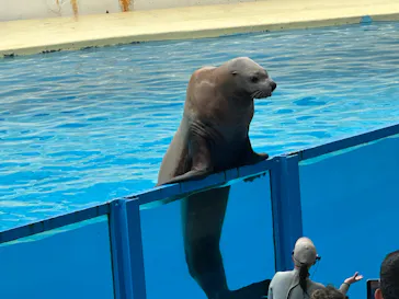 伊豆・三津シーパラダイスに投稿された画像（2026/9/12）