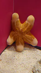 サンシャイン水族館に投稿された画像（2026/9/12）