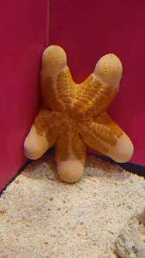 サンシャイン水族館に投稿された画像（2026/9/12）