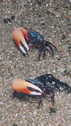 サンシャイン水族館に投稿された画像（2026/9/12）