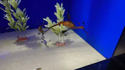 サンシャイン水族館に投稿された画像（2026/9/12）