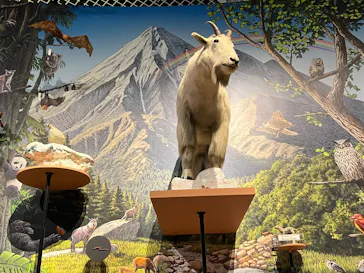 特別展「いきもの超ワールド展　国立科学博物館×ダーウィンが来た！」（国立科学博物館）に投稿された画像（2026/9/12）