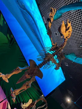 特別展「いきもの超ワールド展　国立科学博物館×ダーウィンが来た！」（国立科学博物館）に投稿された画像（2026/9/12）