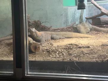 名古屋市東山動植物園に投稿された画像（2026/9/12）