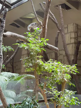 名古屋市東山動植物園に投稿された画像（2026/9/12）