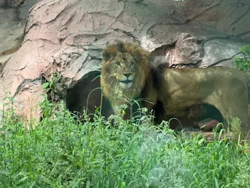 名古屋市東山動植物園に投稿された画像（2026/9/12）