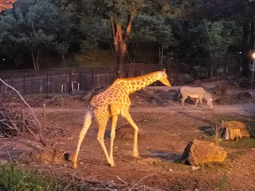 いしかわ動物園に投稿された画像（2026/9/12）