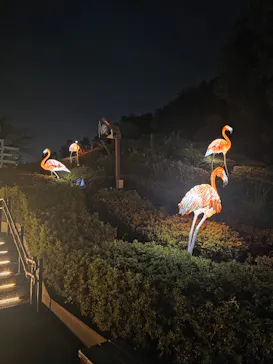 こども動物自然公園（埼玉県公園緑地協会）に投稿された画像（2026/9/12）