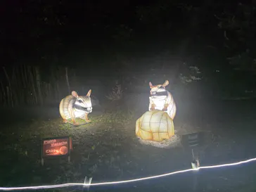 こども動物自然公園（埼玉県公園緑地協会）に投稿された画像（2026/9/12）