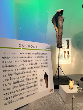 福井県立恐竜博物館に投稿された画像（2026/9/12）